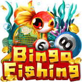 Câu Cá Bingo a9s game
